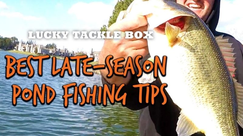 Pond Bass Fishing – Late Fall And Early Winter