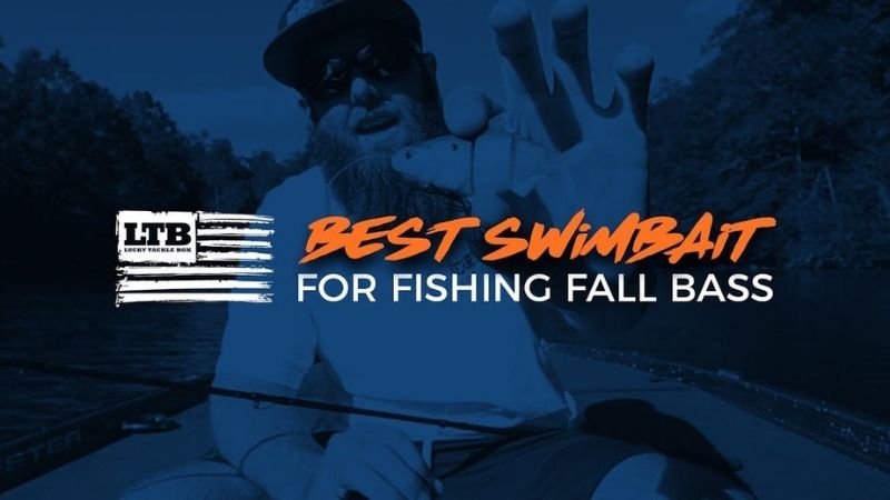 Best Fall Swimbait is Here, And Bass Love It