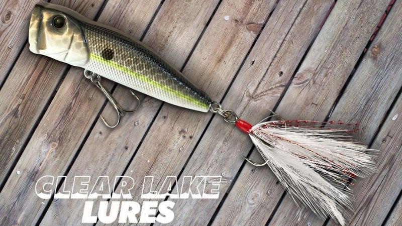 Popper – Best Lure In Clear Waters