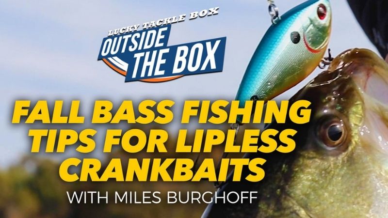 Fall Bass Fishing – Lipless Crankbait Video