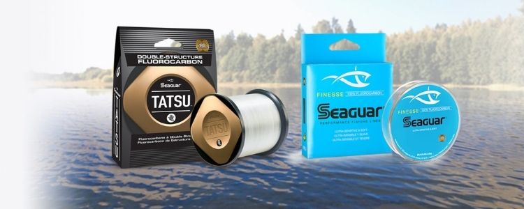 Fire Up Your Fishing Day With Seaguar's Double-Structure Fluocarbon