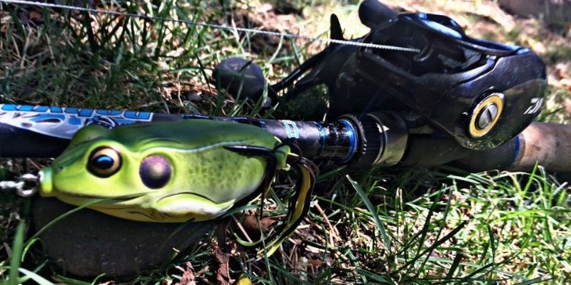 2 Go-To Rod Setups for Frog Fishing Bass - Wired2Fish