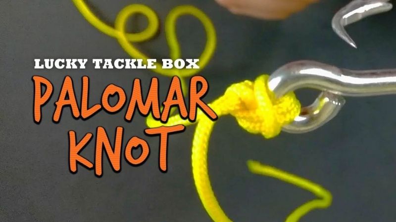 Knot Guide – Palomar Knot Explained