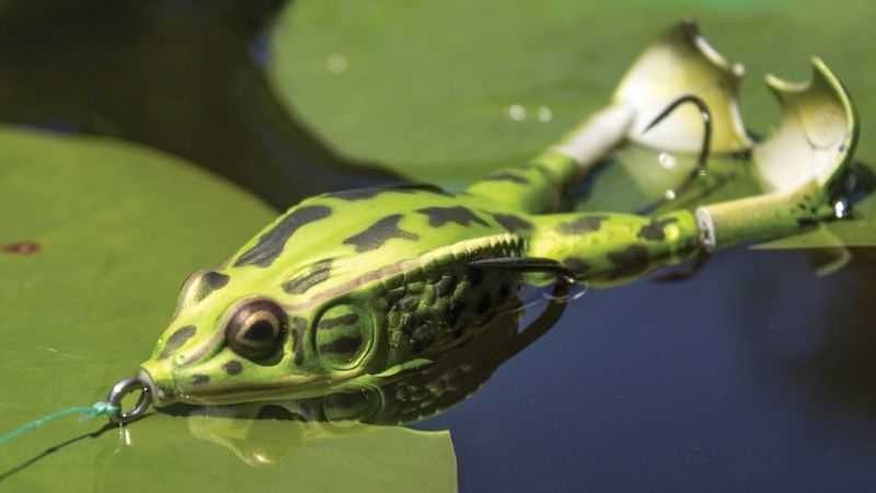 Fishing Efficiency Through Lunkerhunt Prop Frog