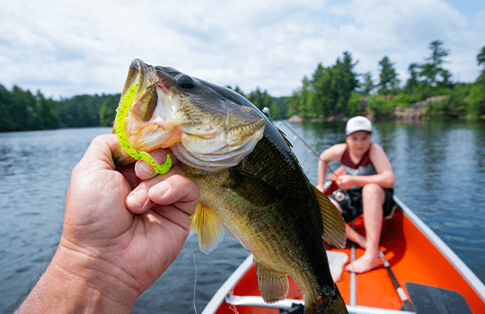 Man holding a big fish on a boat in the lake