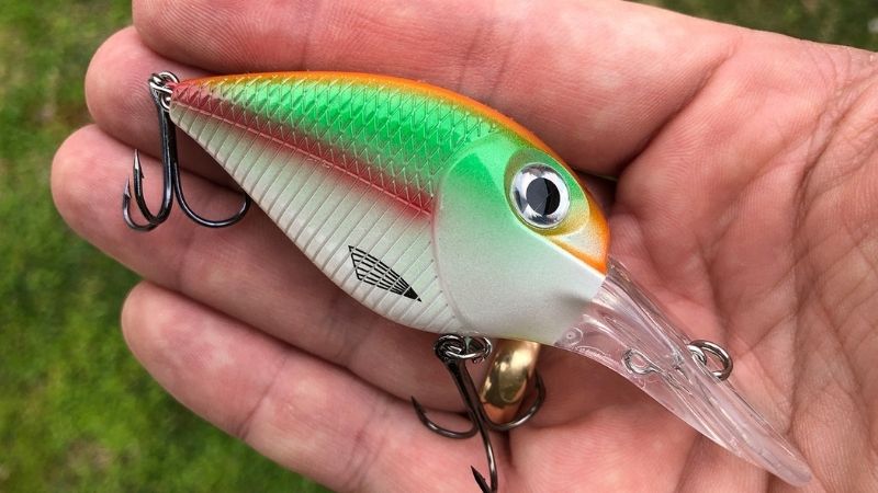 Bold Bait For Bold Fishing – Big Mouth Sid Fishious