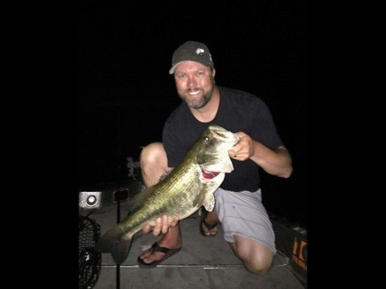 Summer Night Fishing Baits Easy Catch