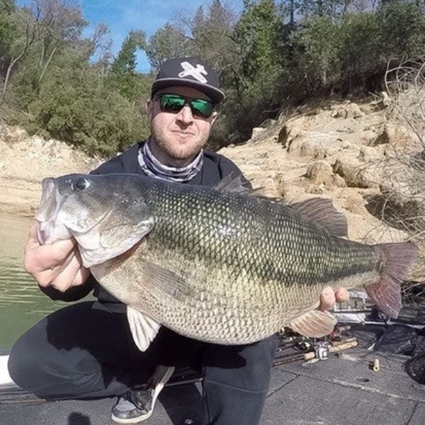 Another Candidate For World's Largest Bass Spotted