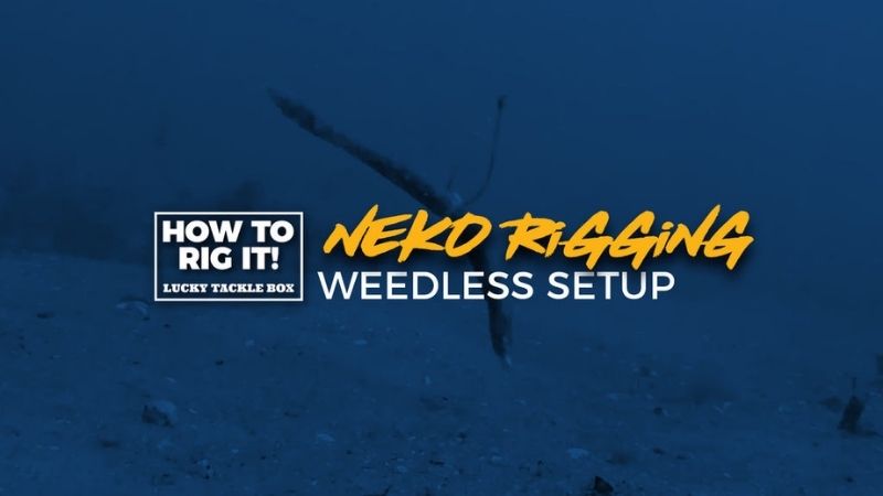 How To Guide – Neko Rig