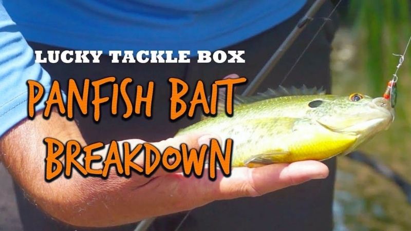 Nick Smith Went In-Depth With LTB Panfish Box
