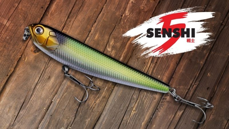 Japanese-Style Top Water Bait – Senshi Yawara