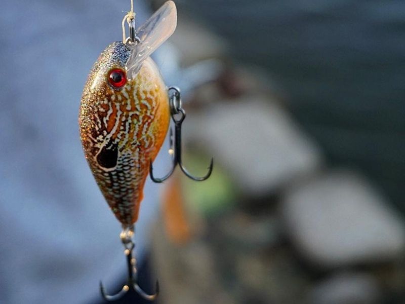 Fishing crankbaits sales