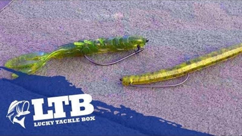 Travis Moran on Hook For Plastic Worms