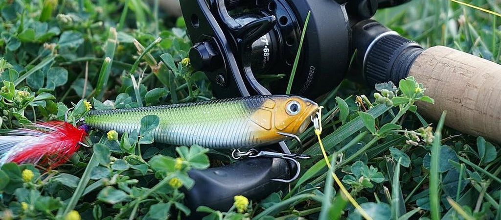 Fall Season Bass Fishing – All You Need To Know About Baits