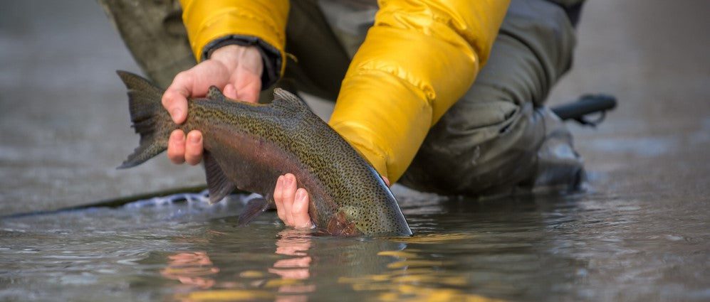 Timber, Fishing Gear, The Fishin' Hole