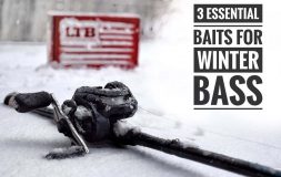 3 essential baits for winter bass