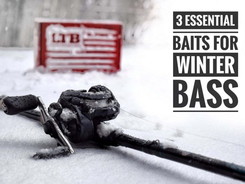 3 essential baits for winter bass