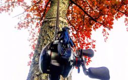 A fishing rod on a background of a huge tree