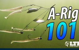 A rig 101 headline baits floating next to it