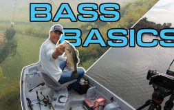 Bass basics