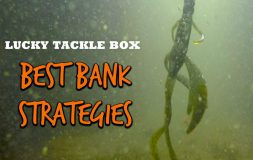 Best bank strategies