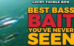 Best bass bait you have never seen