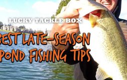 Best late season pond fishing tips lucky tackle box