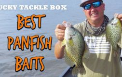 Best panfish baits lucky tackle box