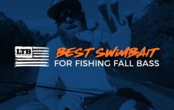 Best swimbait for fishing fall bass
