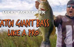 Catch giant bass like a pro
