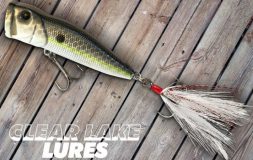 Clear lake lure black and yellow popper