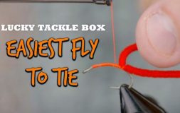 Easiest fly to tie