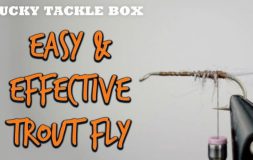 Easy and effective trout fly