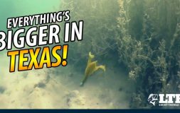 Everythings bigger in texas headline with a floating bait