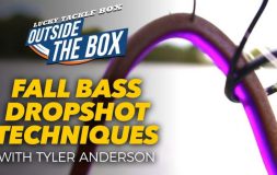 Fall bass dropshot techniques