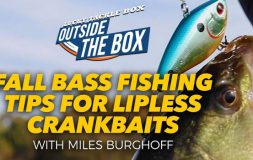 Fall bass fishing tips for lipless crankbaits