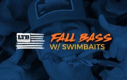 Fall bass with swimbaits