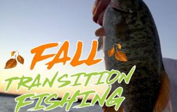 Fall transition fishing