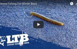 Finesse fishing for winter bass neko rig bait youtube logo