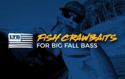 Fish crawbaits for big fall bass