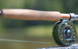 Fishing rod with a wooden holder