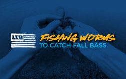 Fishing worms to catch fall bass