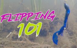 Flipping 101