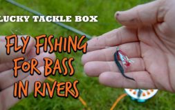 Fly fishing for bass in rivers