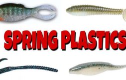 Four spring plastic baits for fishing bass