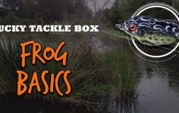 Frog basics lucky tackle box
