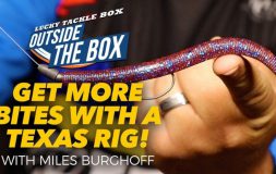 Get more baits with texas rig
