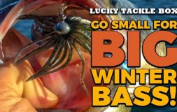 Go small for big winter bass