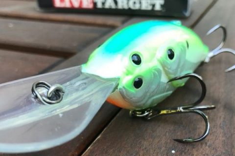 https://www.luckytacklebox.com/wp-content/uploads/bfi_thumb/green-hook-bait-on-the-wooden-surface-3f5nrcec9s6pgd99z9qb62.jpg