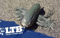 Green plastic bait with stripes and a hook